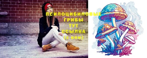 молекула духа Аркадак