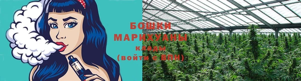 дмт Арсеньев