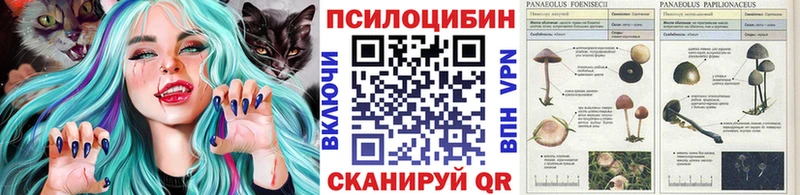 что такое   МЕГА ссылки  Псилоцибиновые грибы Psilocybine cubensis  Лукоянов 