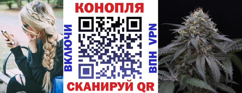 Канабис OG Kush  Лукоянов 